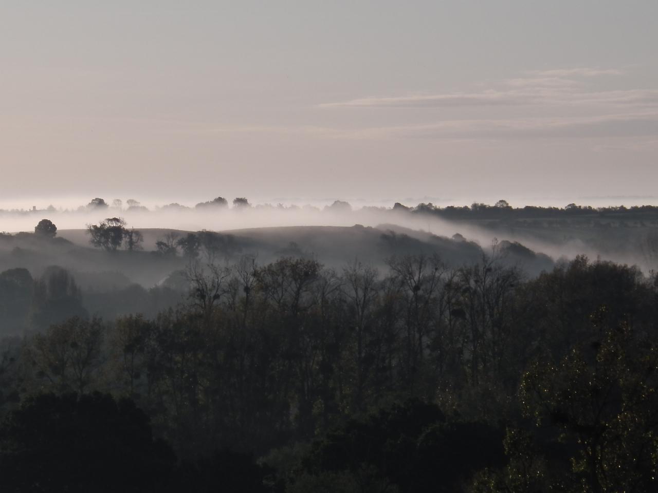 Brume matinale